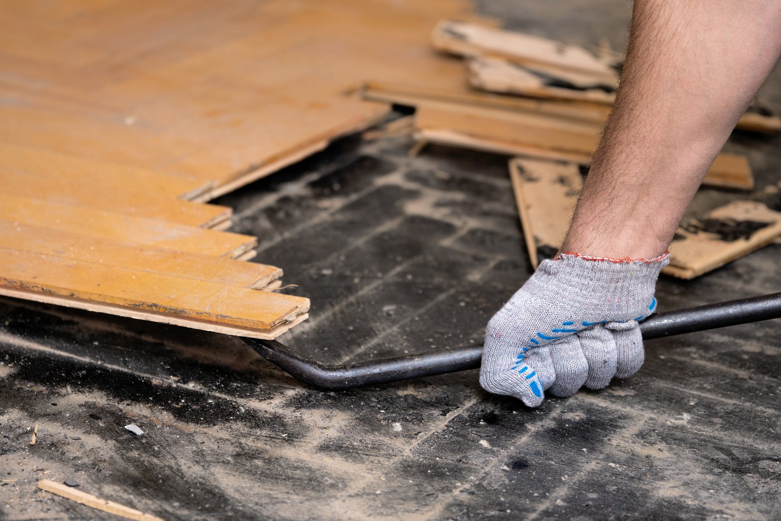 Carpet & Floor Demolition