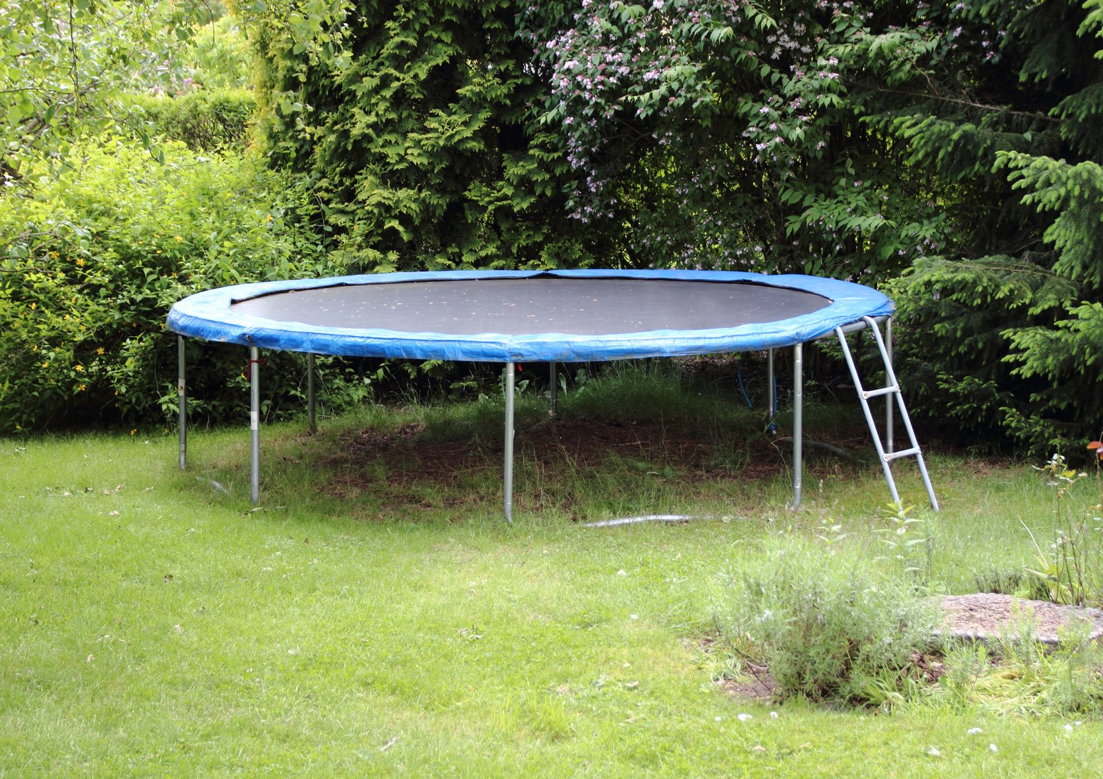 Trampoline Removal Mysteries: Leap Towards Clutter-Free Spaces!